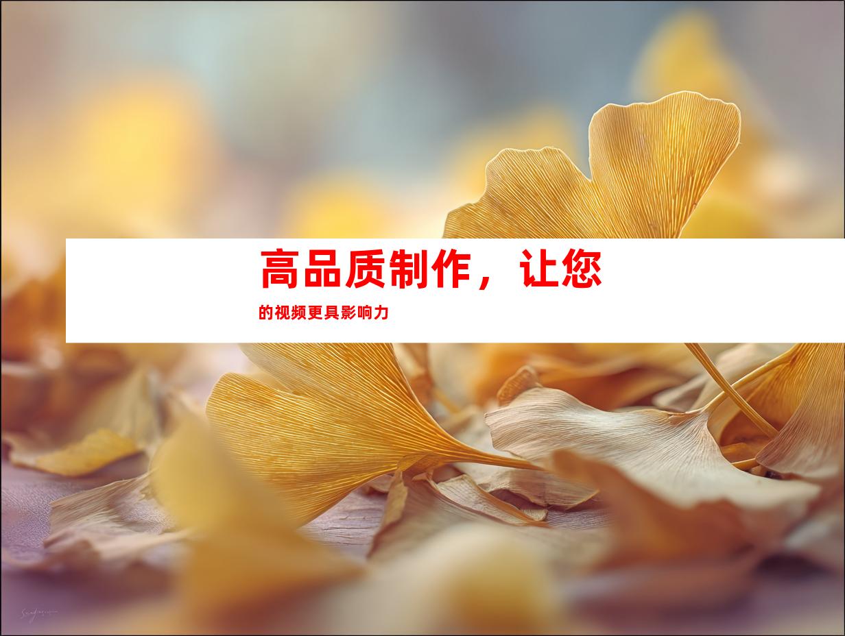 高品质制作，让您的视频更具影响力
