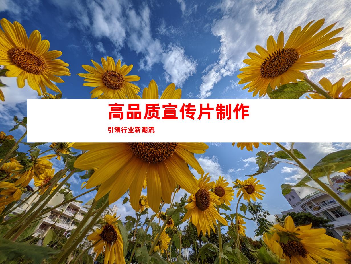 高品质宣传片制作引领行业新潮流