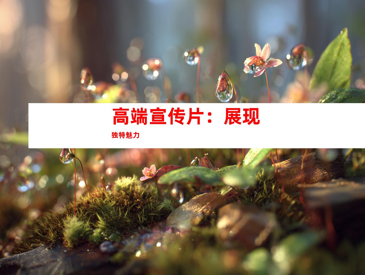 高端宣传片：展现独特魅力