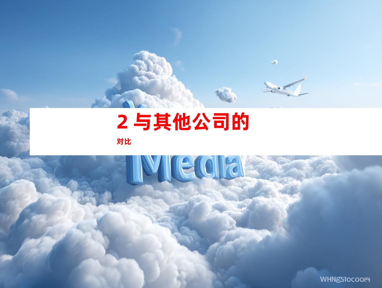 2. 与其他公司的对比