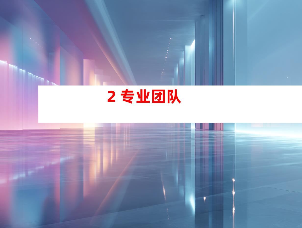 2. 专业团队