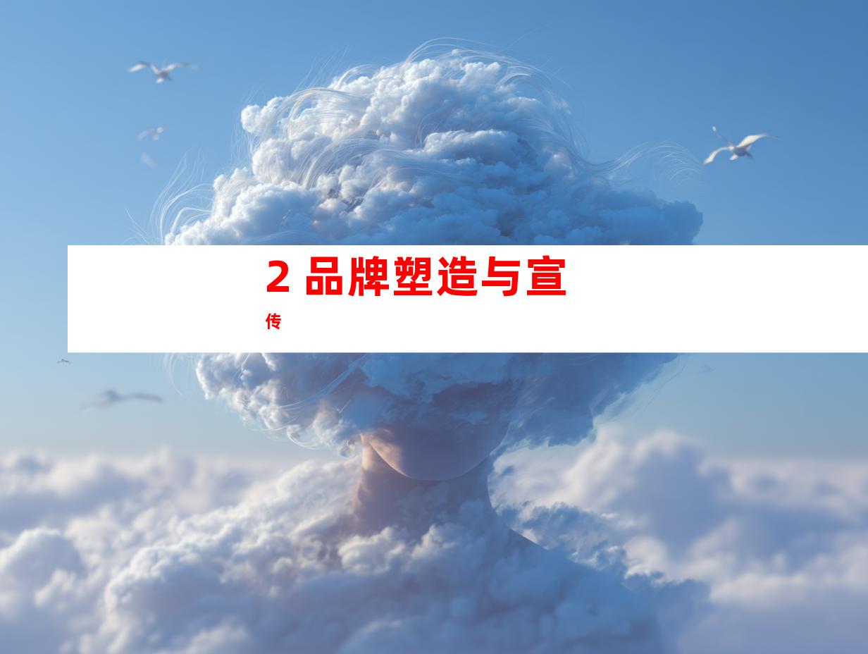 2. 品牌塑造与宣传