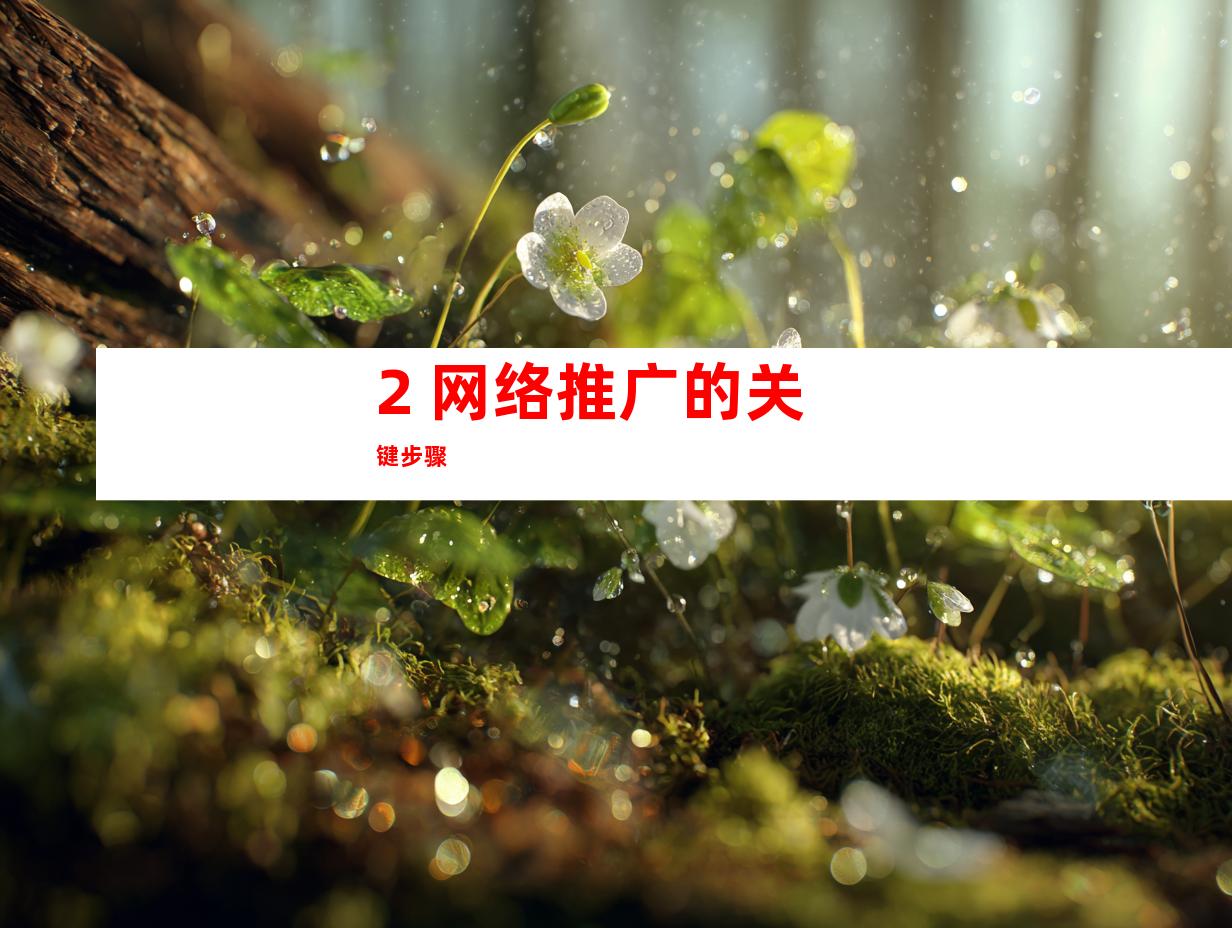 2. 网络推广的关键步骤