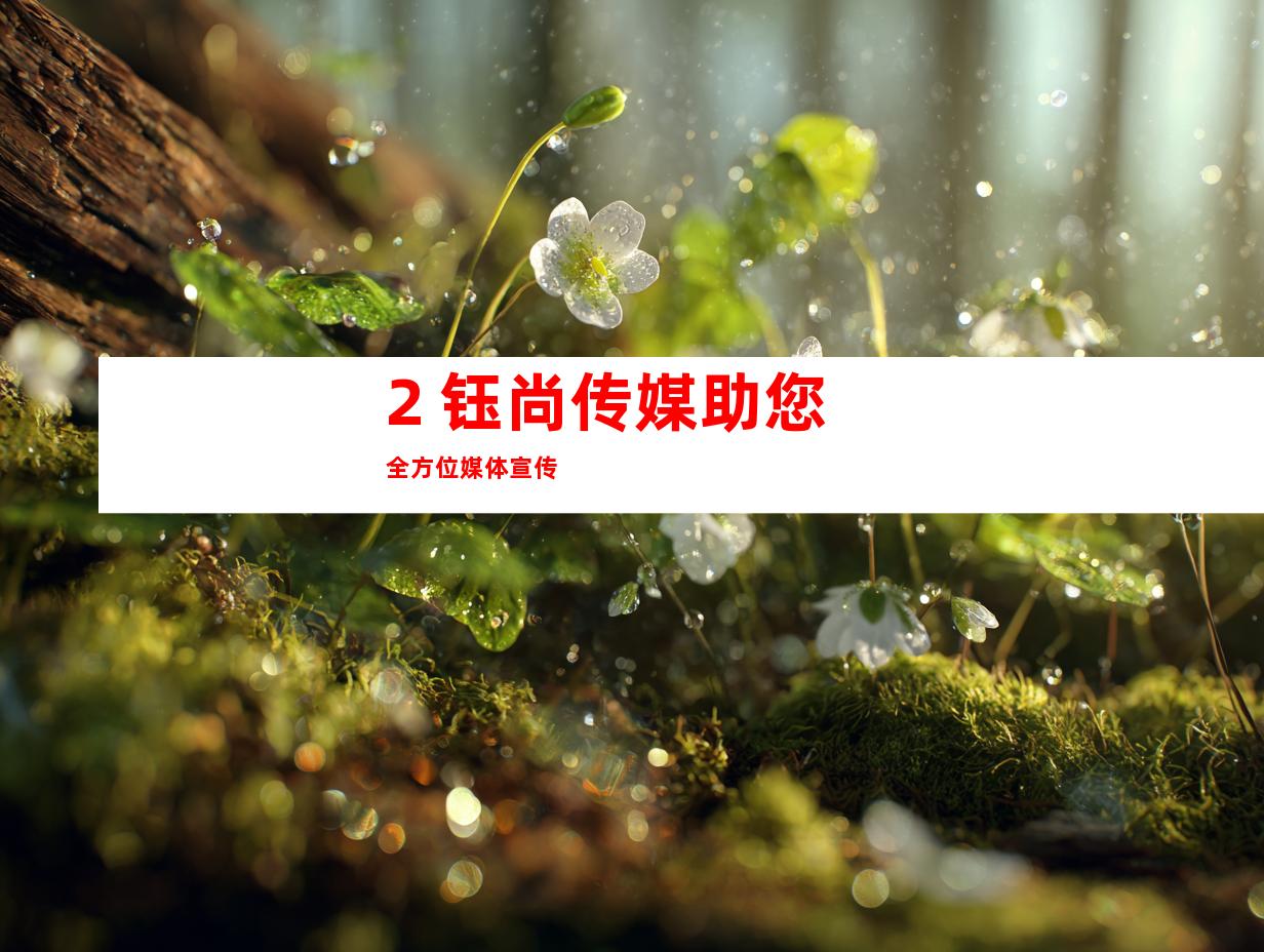 2. 钰尚传媒助您全方位媒体宣传