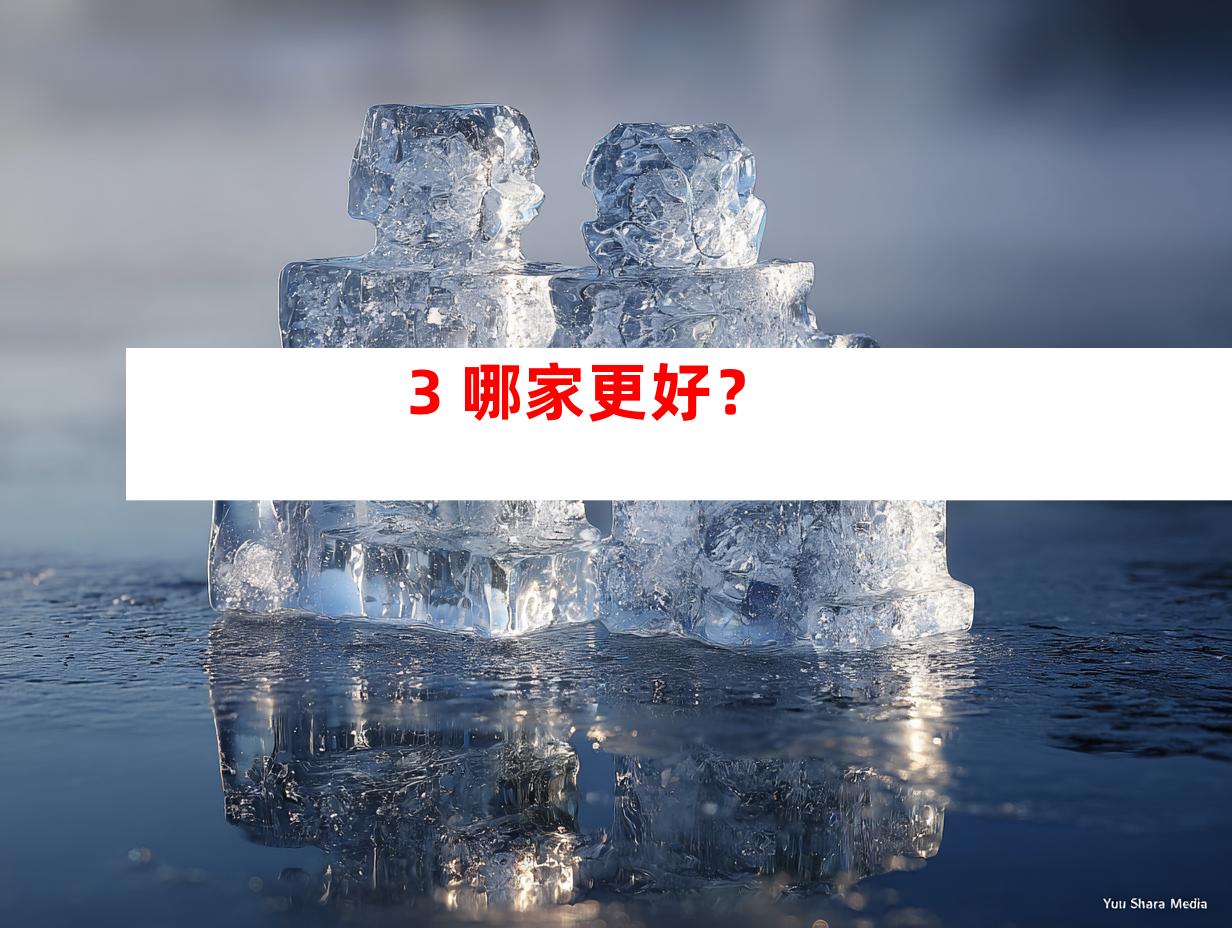 3. 哪家更好？